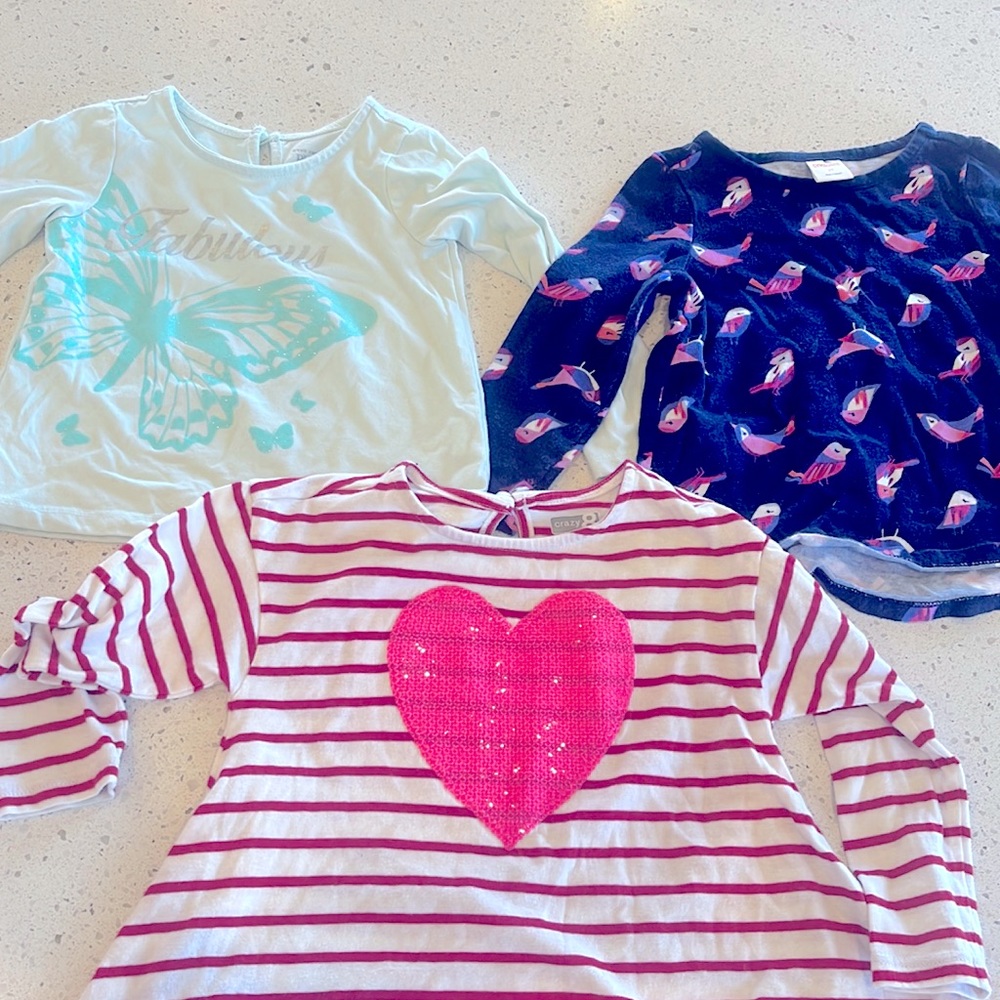 Toddler girls 2T long sleeve tee bundle